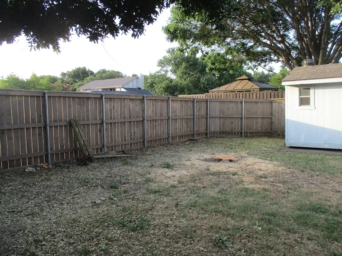 Cleared yard after professional tree removal in Allston